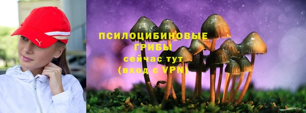 спайс Куйбышев