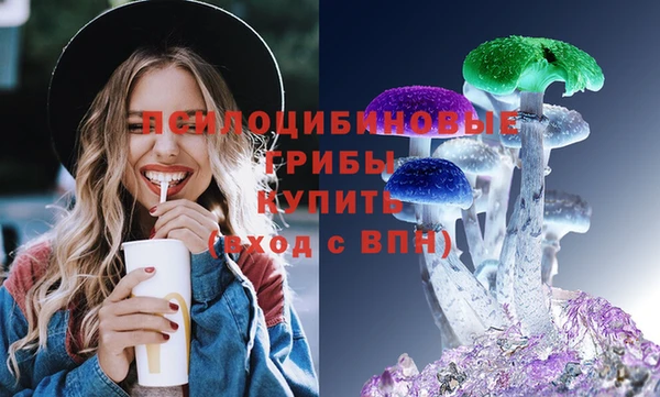 стафф Кулебаки