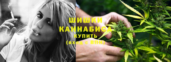 стафф Кулебаки
