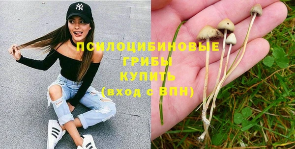 стафф Кулебаки
